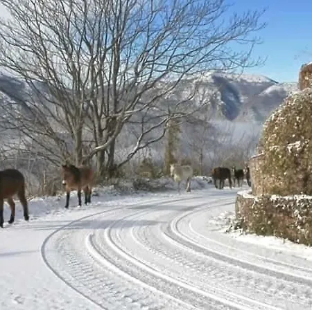 Hébergement de vacances Le Dell'arco - Monte San Vito Scheggino