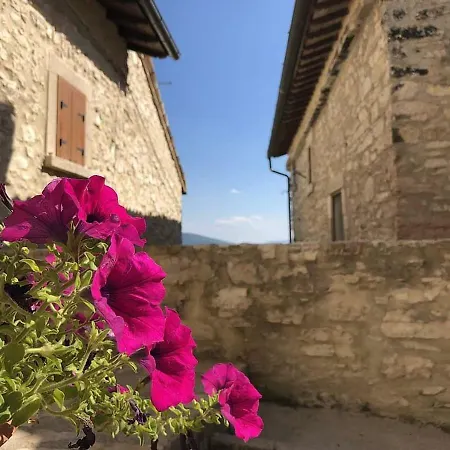 Le Dell'arco - Monte San Vito