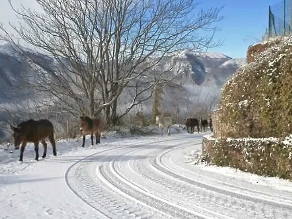 Сasa de vacaciones Le Dell'arco - Monte San Vito Scheggino